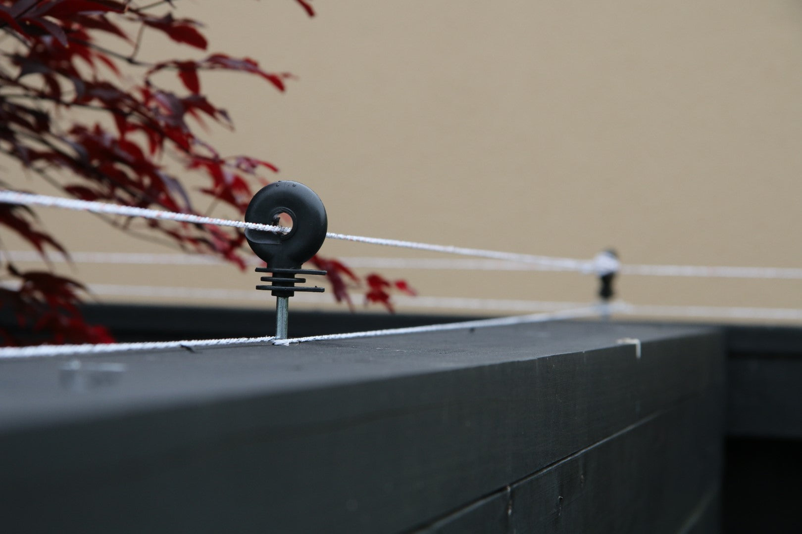 Cat Proof Fence | SmartCats StayHome NZ