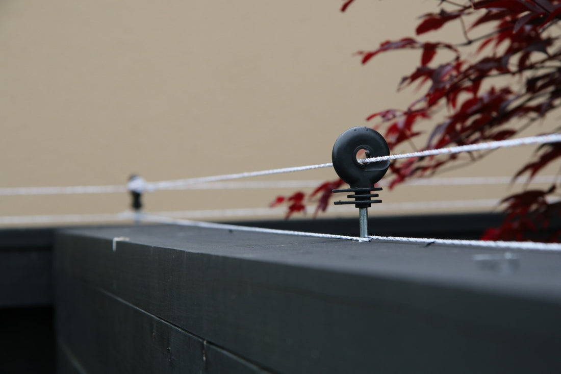 From Metal to Masonry: Choosing the Right SmartCats StayHome Installation Pack for Your Fence.