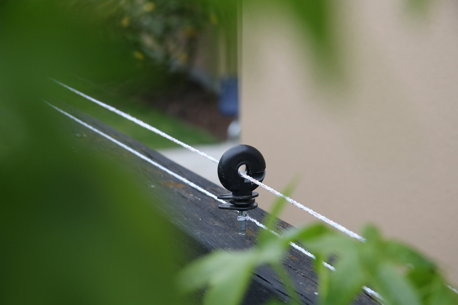 Cat Proof Fence which attaches to existing fence | SmartCats StayHome