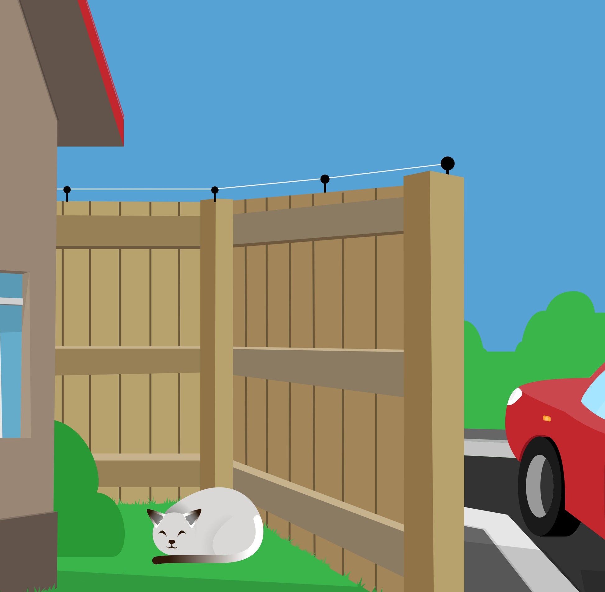Cats and top electric fences