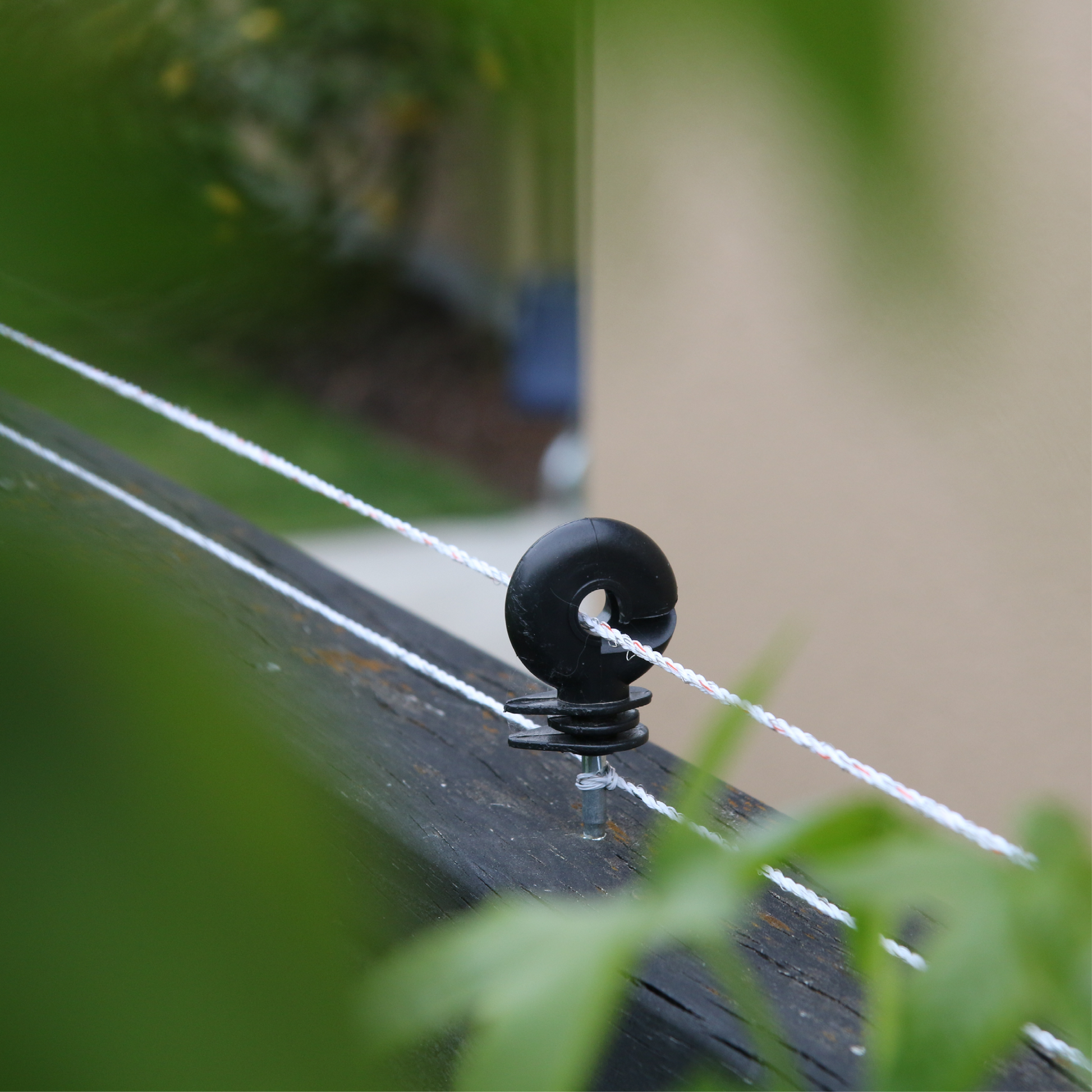 Cat hot sale electric fence